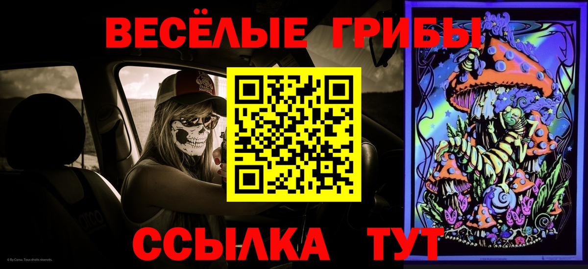 Псилоцибиновые грибы мицелий Раменское